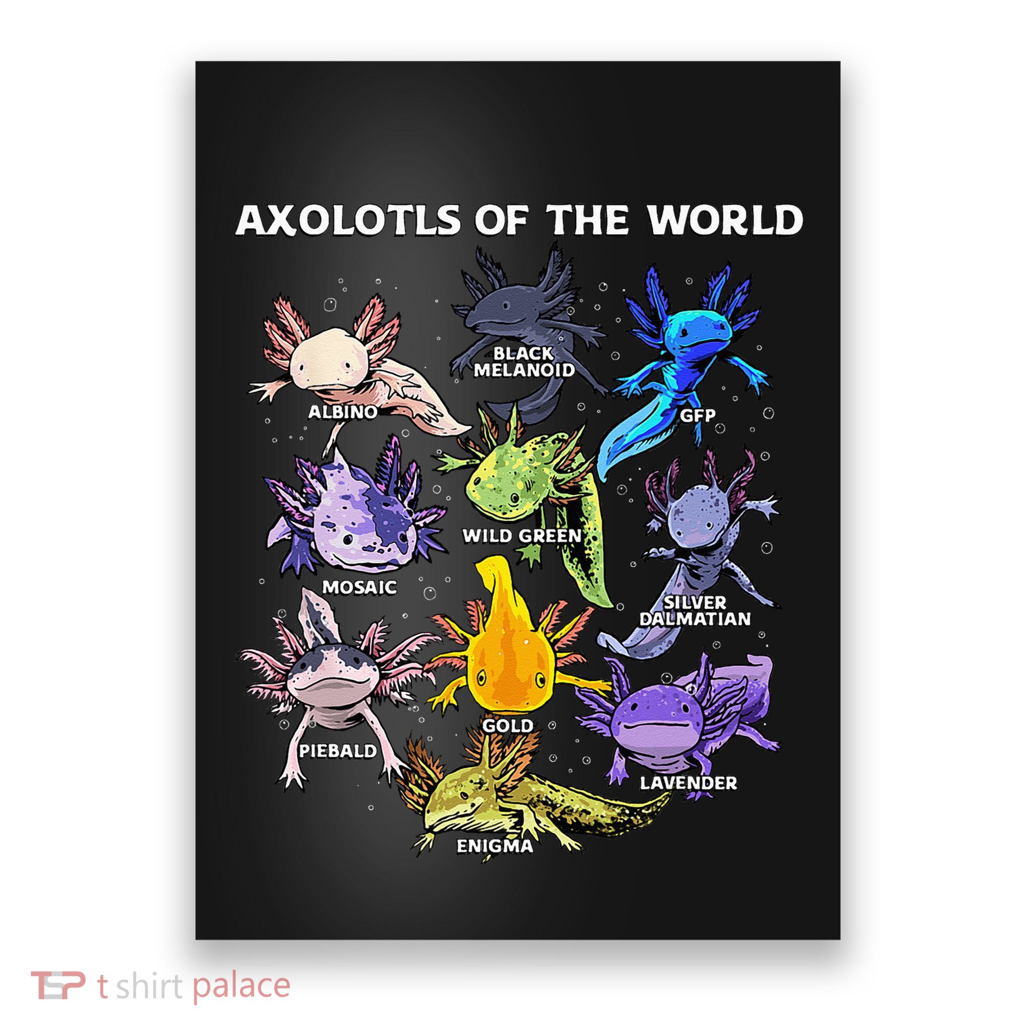 Axolotl Animals Of The World Kawaii Salamander Herpetology Poster