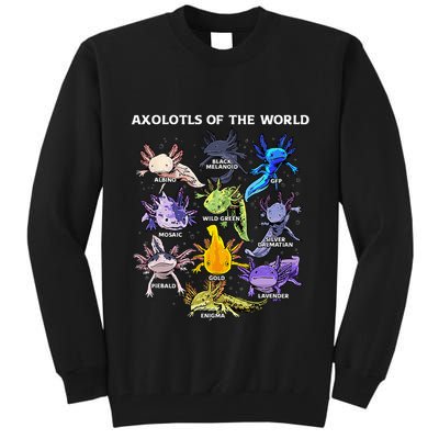 Axolotl Animals Of The World Kawaii Salamander Herpetology Tall Sweatshirt