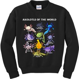 Axolotl Animals Of The World Kawaii Salamander Herpetology Kids Sweatshirt