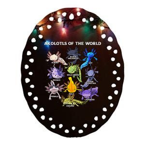 Axolotl Animals Of The World Kawaii Salamander Herpetology Ceramic Oval Ornament