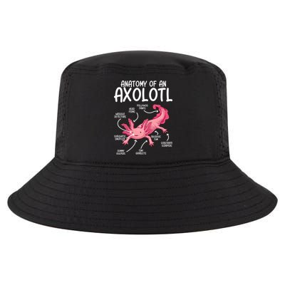 Axolotl Anatomy Of Axolotl Science Pet Axolotl Lover Cool Comfort Performance Bucket Hat