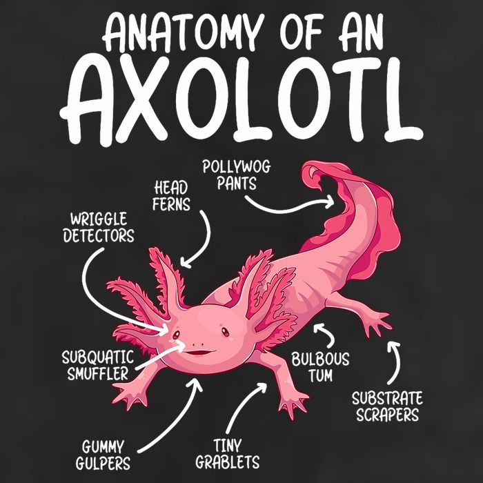 Axolotl Anatomy Of Axolotl Science Pet Axolotl Lover Cool Comfort Performance Bucket Hat
