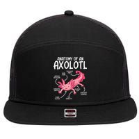 Axolotl Anatomy Of Axolotl Science Pet Axolotl Lover 7 Panel Mesh Trucker Snapback Hat