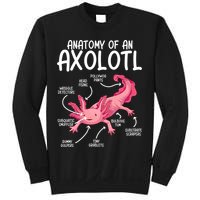Axolotl Anatomy Of Axolotl Science Pet Axolotl Lover Sweatshirt