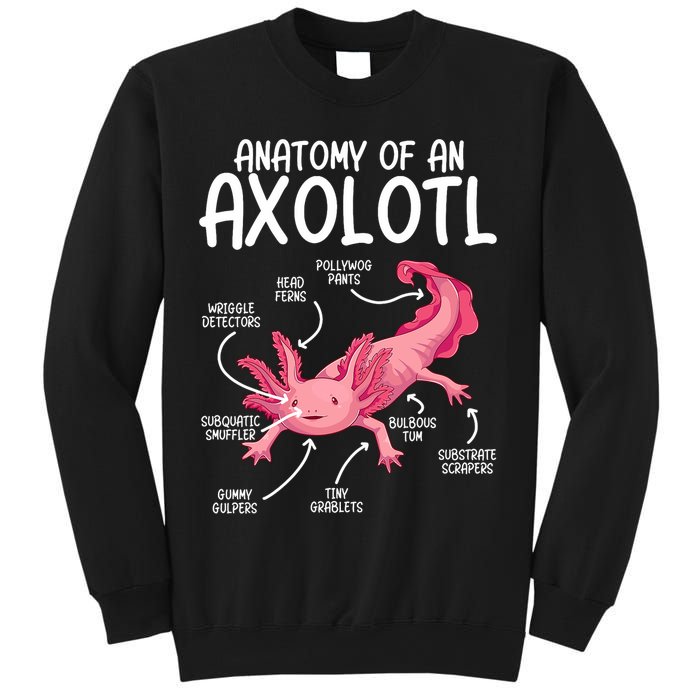 Axolotl Anatomy Of Axolotl Science Pet Axolotl Lover Sweatshirt