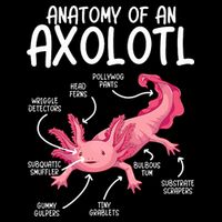 Axolotl Anatomy Of Axolotl Science Pet Axolotl Lover T-Shirt