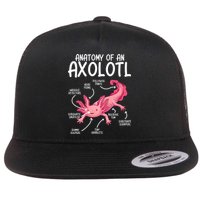 Axolotl Anatomy Of Axolotl Science Pet Axolotl Lover Flat Bill Trucker Hat
