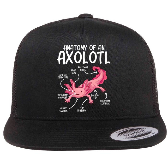 Axolotl Anatomy Of Axolotl Science Pet Axolotl Lover Flat Bill Trucker Hat