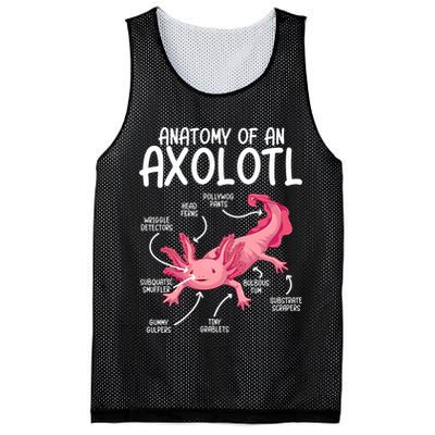 Axolotl Anatomy Of Axolotl Science Pet Axolotl Lover Mesh Reversible Basketball Jersey Tank