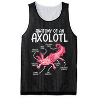 Axolotl Anatomy Of Axolotl Science Pet Axolotl Lover Mesh Reversible Basketball Jersey Tank