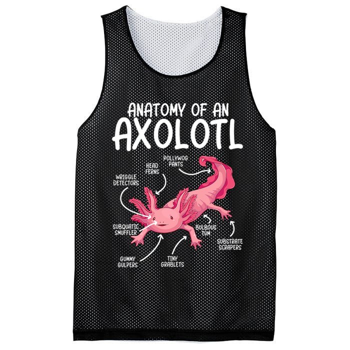 Axolotl Anatomy Of Axolotl Science Pet Axolotl Lover Mesh Reversible Basketball Jersey Tank