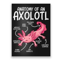 Axolotl Anatomy Of Axolotl Science Pet Axolotl Lover Poster