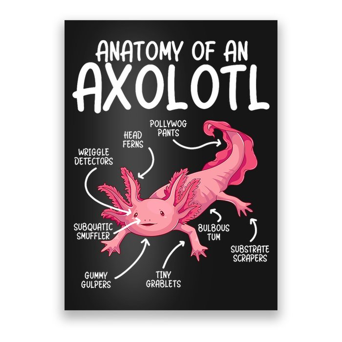 Axolotl Anatomy Of Axolotl Science Pet Axolotl Lover Poster