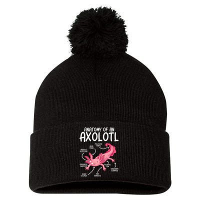 Axolotl Anatomy Of Axolotl Science Pet Axolotl Lover Pom Pom 12in Knit Beanie