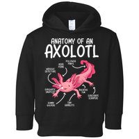 Axolotl Anatomy Of Axolotl Science Pet Axolotl Lover Toddler Hoodie
