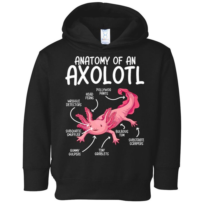 Axolotl Anatomy Of Axolotl Science Pet Axolotl Lover Toddler Hoodie