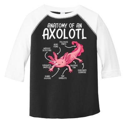 Axolotl Anatomy Of Axolotl Science Pet Axolotl Lover Toddler Fine Jersey T-Shirt
