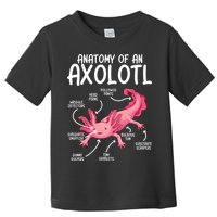 Axolotl Anatomy Of Axolotl Science Pet Axolotl Lover Toddler T-Shirt