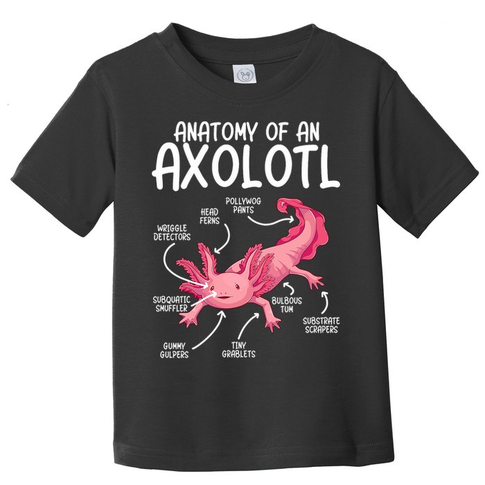 Axolotl Anatomy Of Axolotl Science Pet Axolotl Lover Toddler T-Shirt