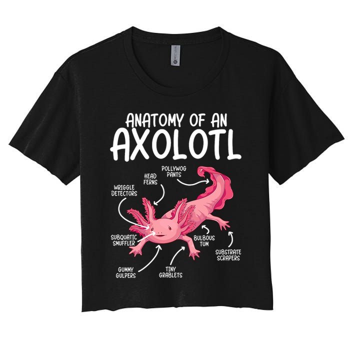 Axolotl Anatomy Of Axolotl Science Pet Axolotl Lover Women's Crop Top Tee