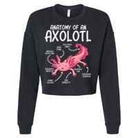 Axolotl Anatomy Of Axolotl Science Pet Axolotl Lover Cropped Pullover Crew