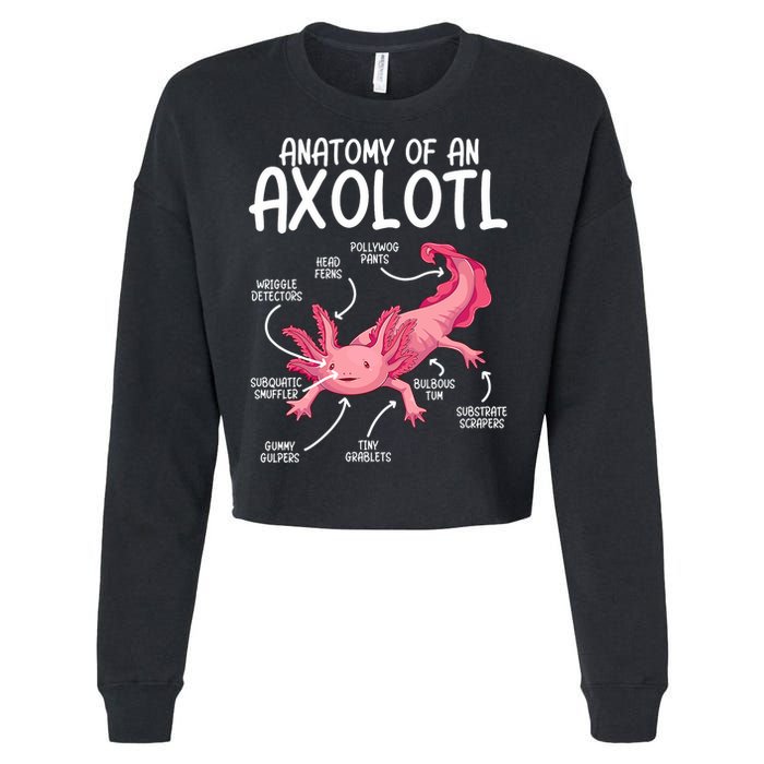 Axolotl Anatomy Of Axolotl Science Pet Axolotl Lover Cropped Pullover Crew