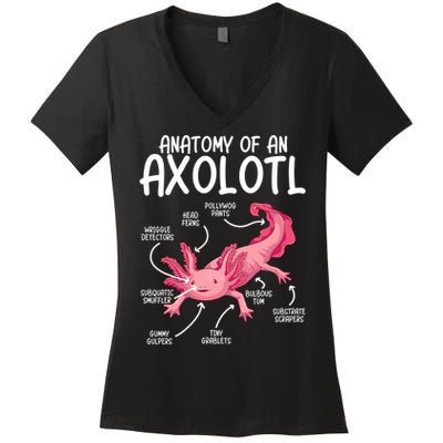 Axolotl Anatomy Of Axolotl Science Pet Axolotl Lover Women's V-Neck T-Shirt
