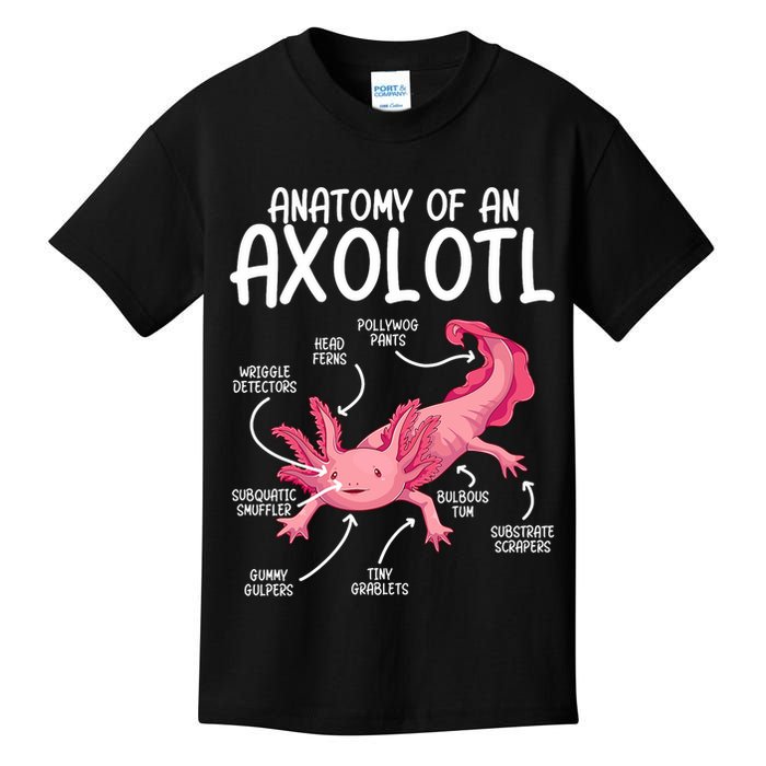 Axolotl Anatomy Of Axolotl Science Pet Axolotl Lover Kids T-Shirt