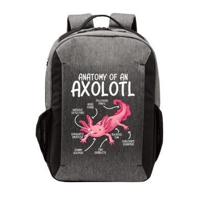 Axolotl Anatomy Of Axolotl Science Pet Axolotl Lover Vector Backpack