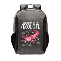 Axolotl Anatomy Of Axolotl Science Pet Axolotl Lover Vector Backpack