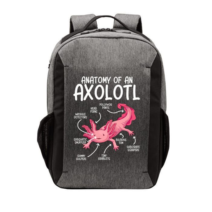 Axolotl Anatomy Of Axolotl Science Pet Axolotl Lover Vector Backpack