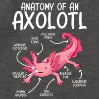Axolotl Anatomy Of Axolotl Science Pet Axolotl Lover Vector Backpack