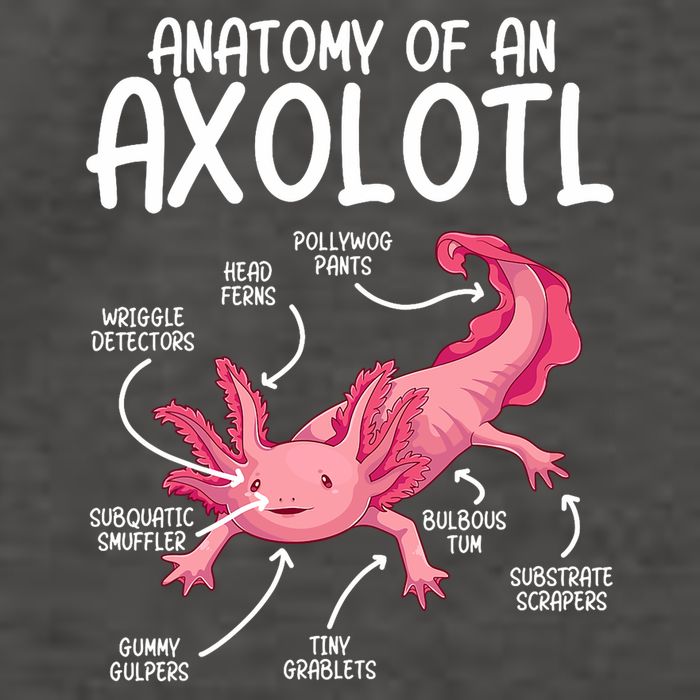 Axolotl Anatomy Of Axolotl Science Pet Axolotl Lover Vector Backpack