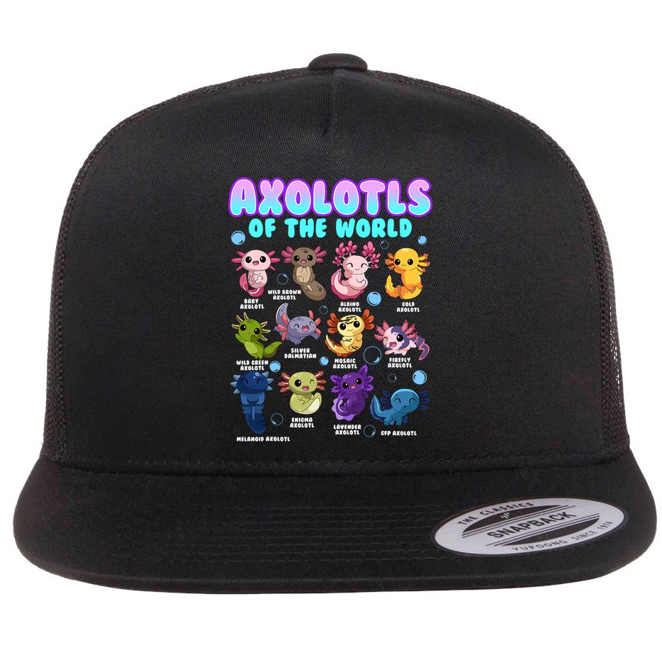 Axolotl Animals Of The World Kawaii Salamander Herpetology Flat Bill Trucker Hat