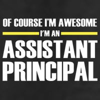 Awesome Assistant Principal Gift Adult Drive Performance Visor