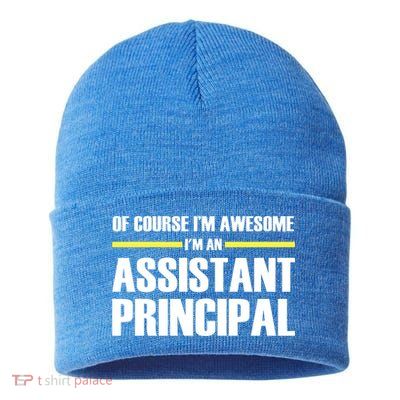 Awesome Assistant Principal Gift Sustainable Knit Beanie