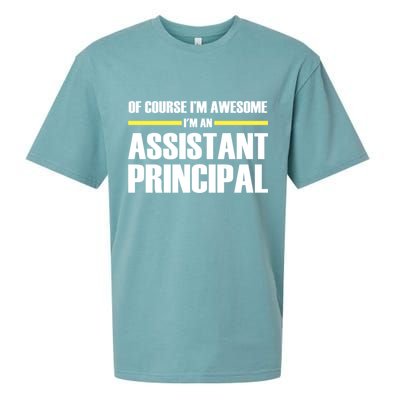 Awesome Assistant Principal Gift Sueded Cloud Jersey T-Shirt
