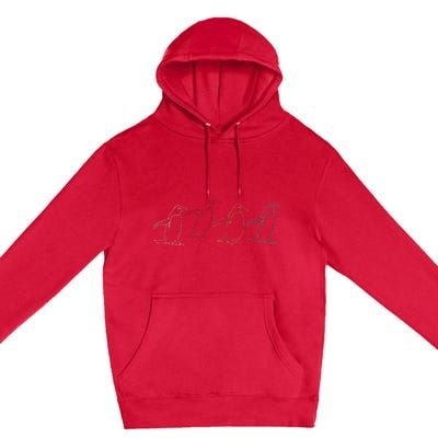 Antartica Animal Penguin Premium Pullover Hoodie