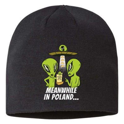 Alien Abduction Pierogi Polish Food Poland Polonia Funny Sustainable Beanie