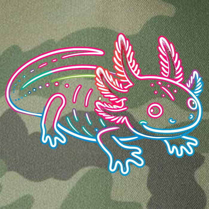 Axolotl Animal Pop Art Cute Axolotl Lover Legacy Tie Dye Trucker Hat