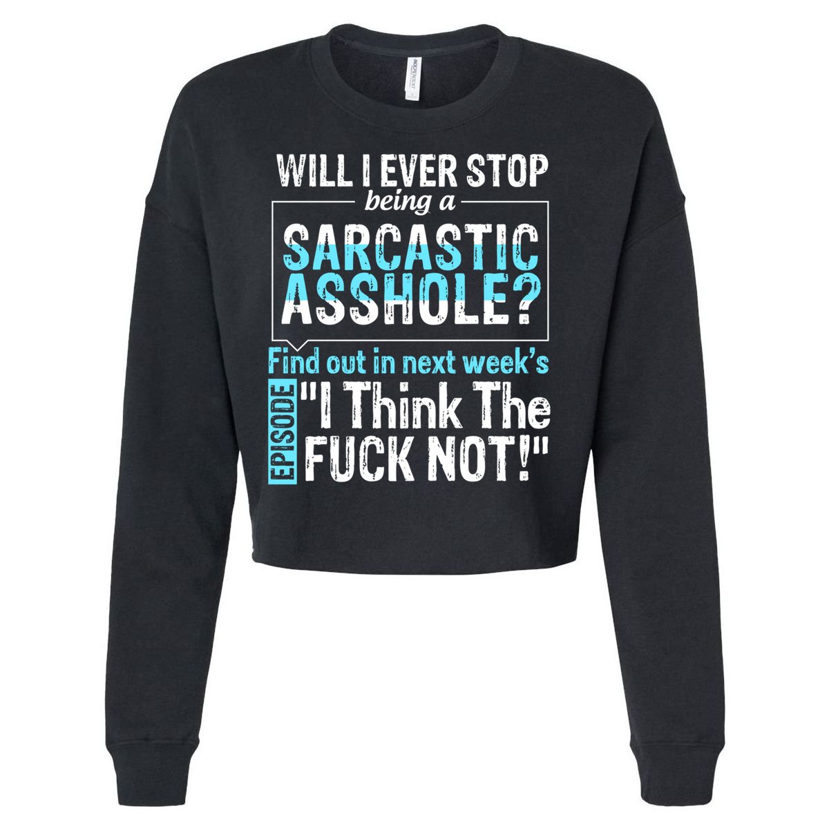 Asshole Assholes Potty Mouth Vulgar Profanity Fun Gag Gift Cropped Pullover Crew