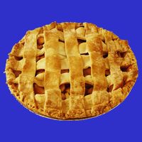 American Apple Pie Halloween Costume 16 in Basic Backpack