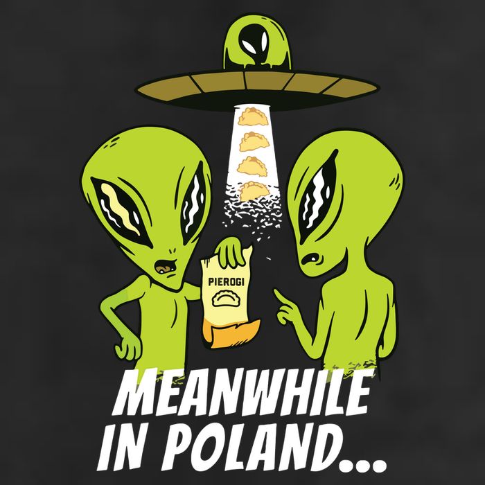 Alien Abduction Pierogi Polish Food Poland Polonia Funny 7 Panel Mesh Trucker Snapback Hat