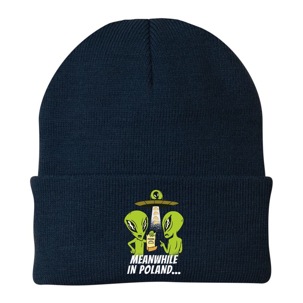 Alien Abduction Pierogi Polish Food Poland Polonia Beanie