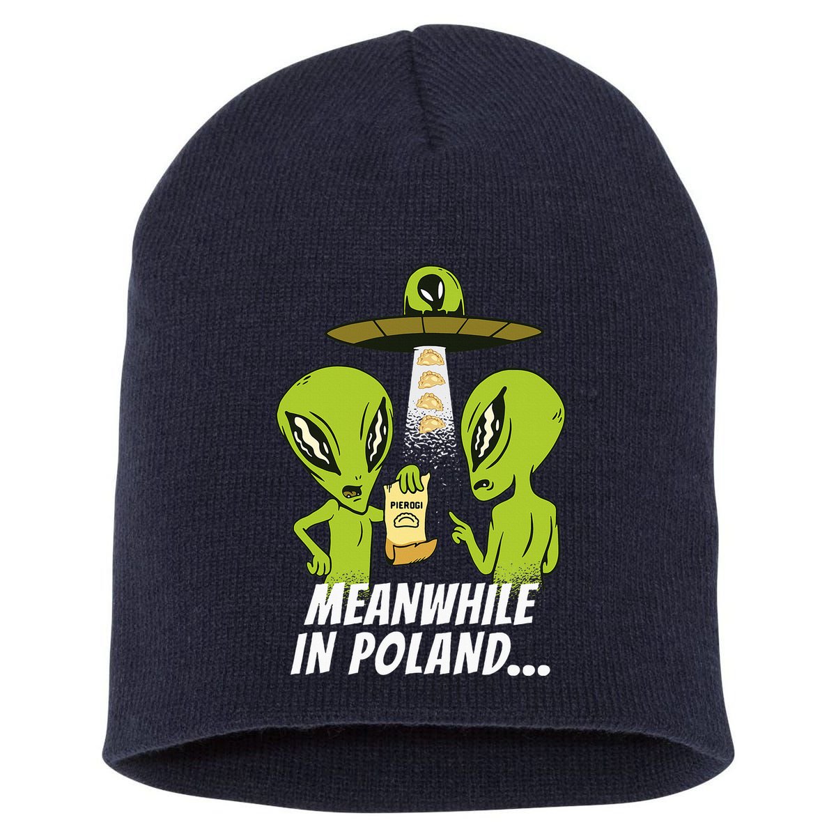Alien Abduction Pierogi Polish Food Poland Polonia Short Acrylic Beanie