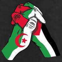 Algeria And Palestine Hands 7 Panel Mesh Trucker Snapback Hat