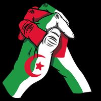 Algeria And Palestine Hands Drawstring Bag