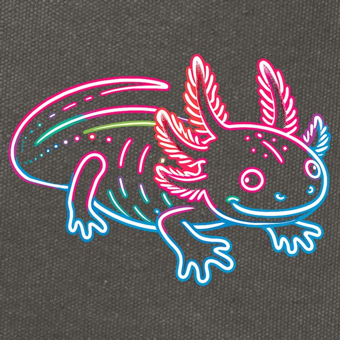 Axolotl Animal Pop Art Cute Axolotl Lover Cotton Canvas Backpack