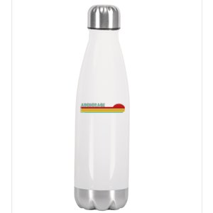 Anchorage Alaska Retro Sunset Stainless Steel Insulated Water Bottle