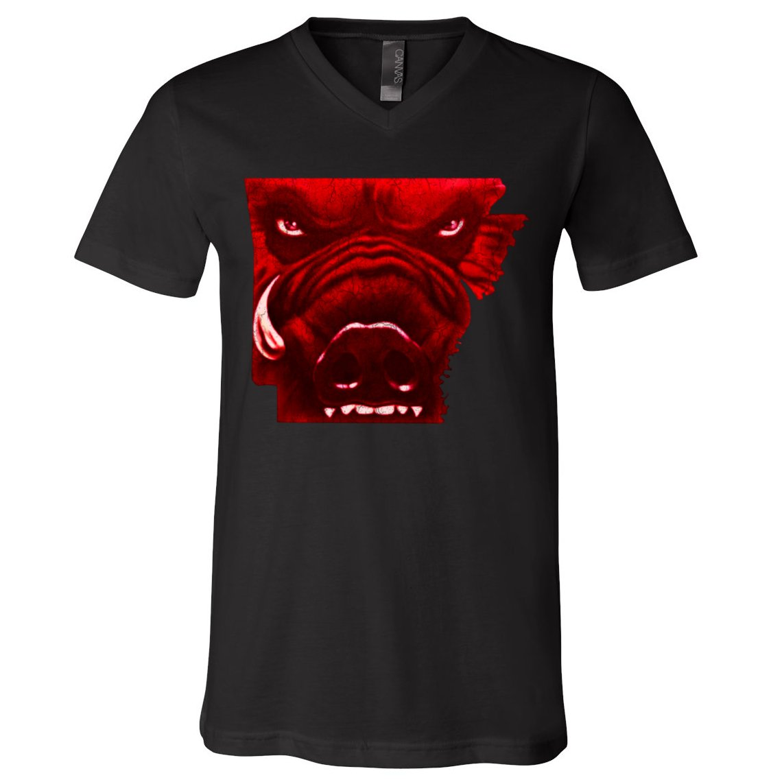 Arkansas V-Neck T-Shirt